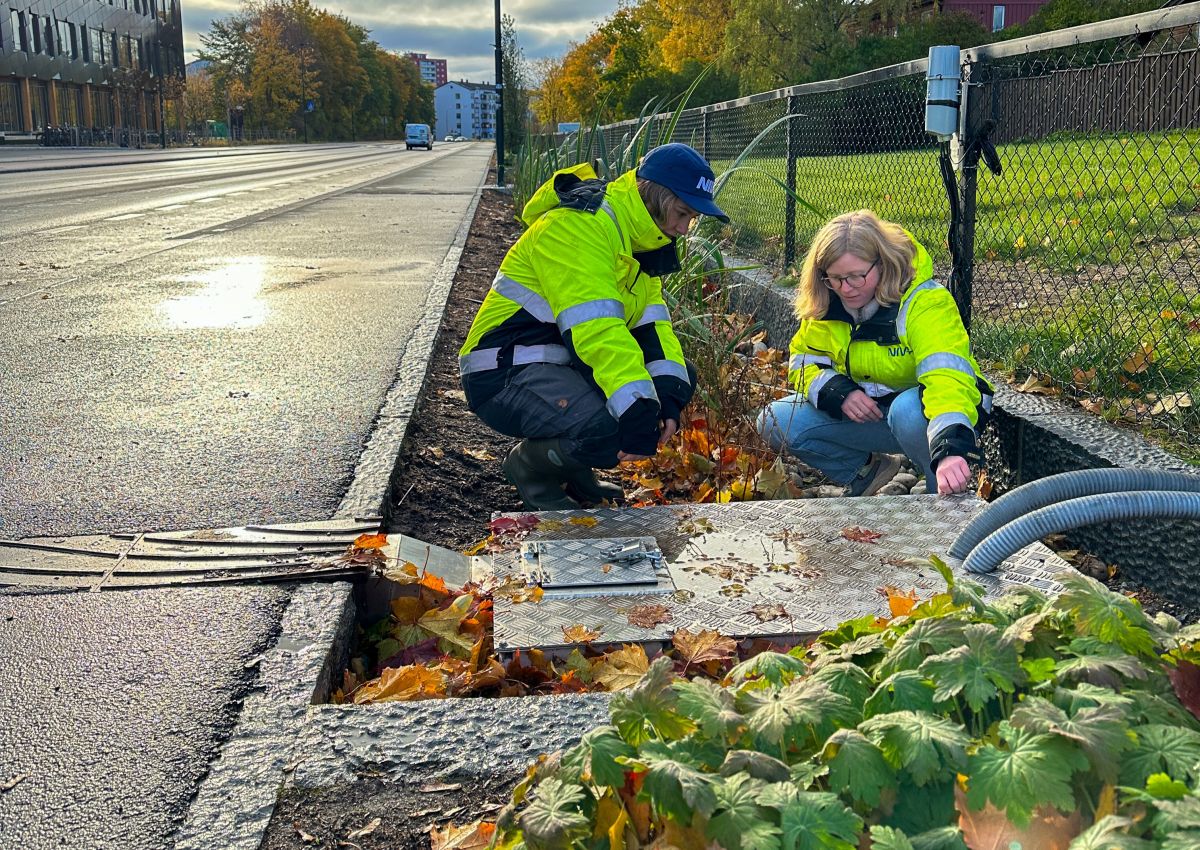 Two persons investigate roadside water pipe