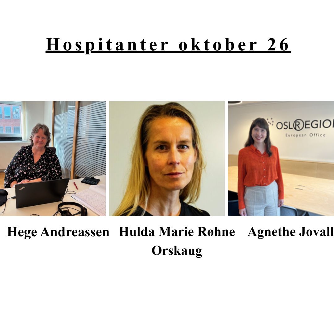Høstens hospitanter hos Osloregionens Europakontor  