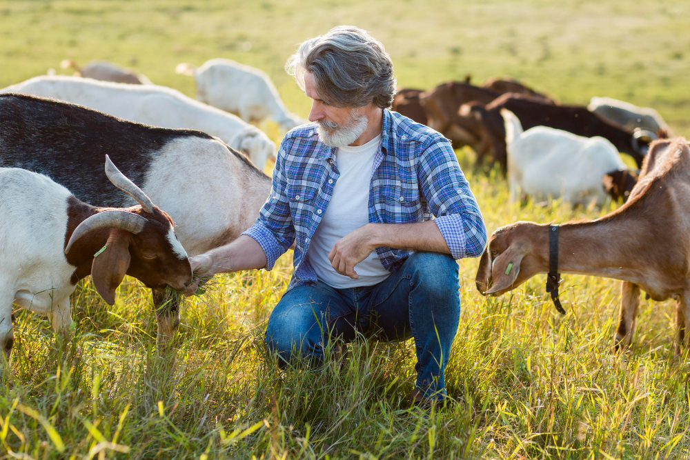 Utlysning i det europeiske partnerskapet AGROECOLOGY