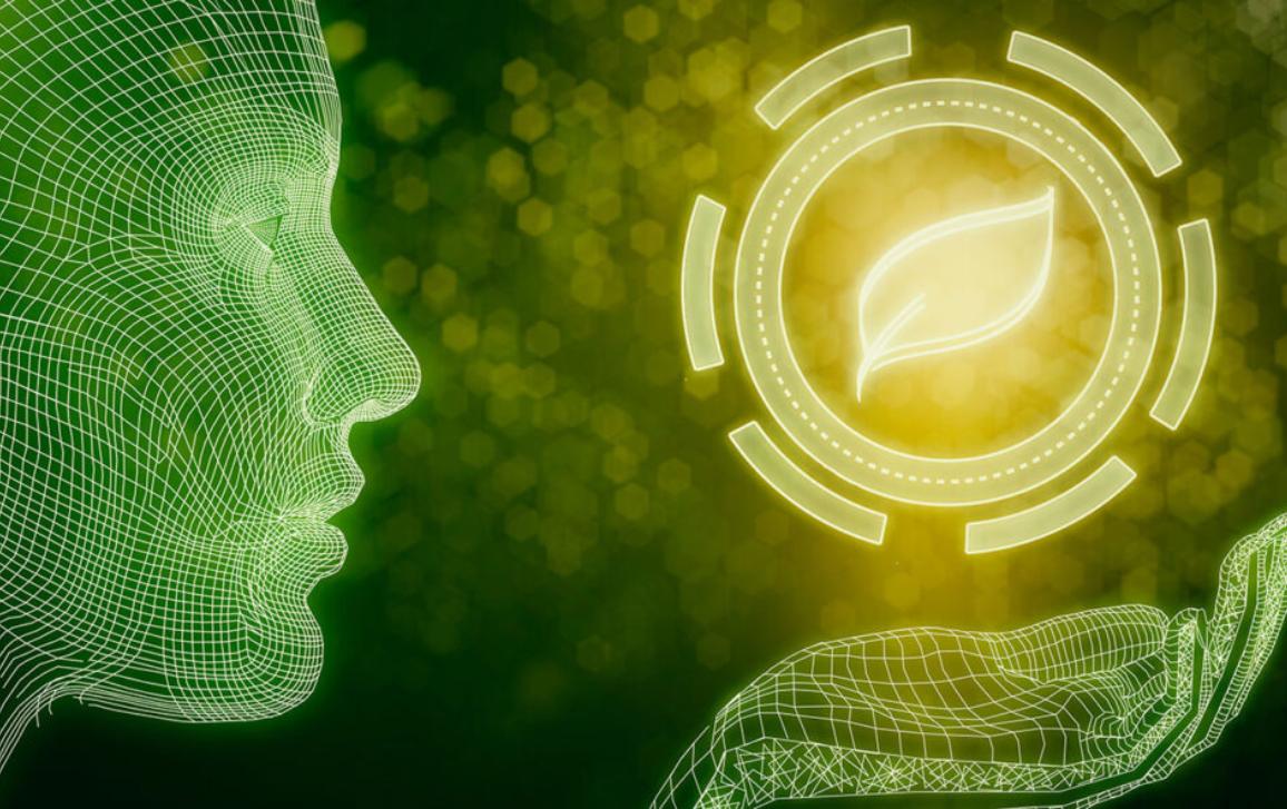 Hvilken rolle bør kunstig intelligens spille i det grønne skiftet?