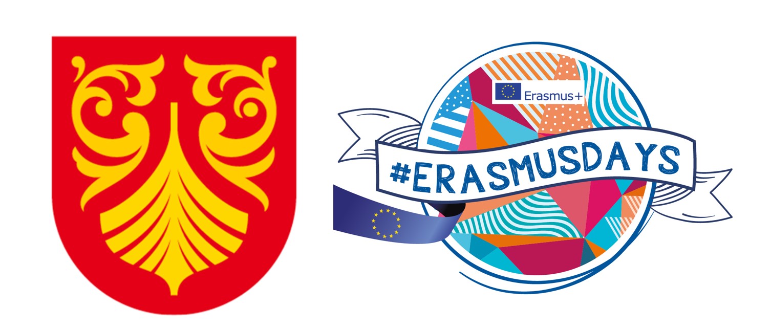 VESTFOLD OG TELEMARK FYLKESKOMMUNES MARKERING AV ERASMUSDAYS