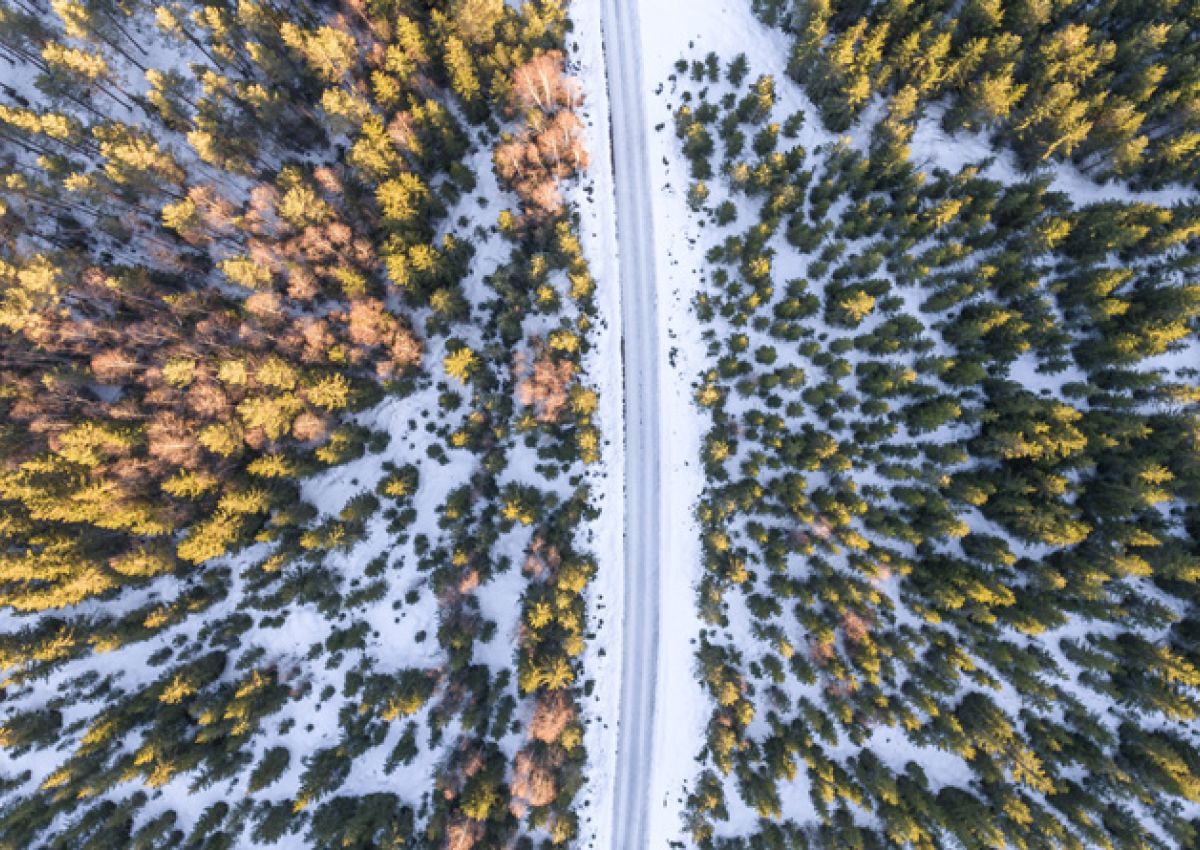 Flyfoto av vei langs gule og oransje lønnetrær