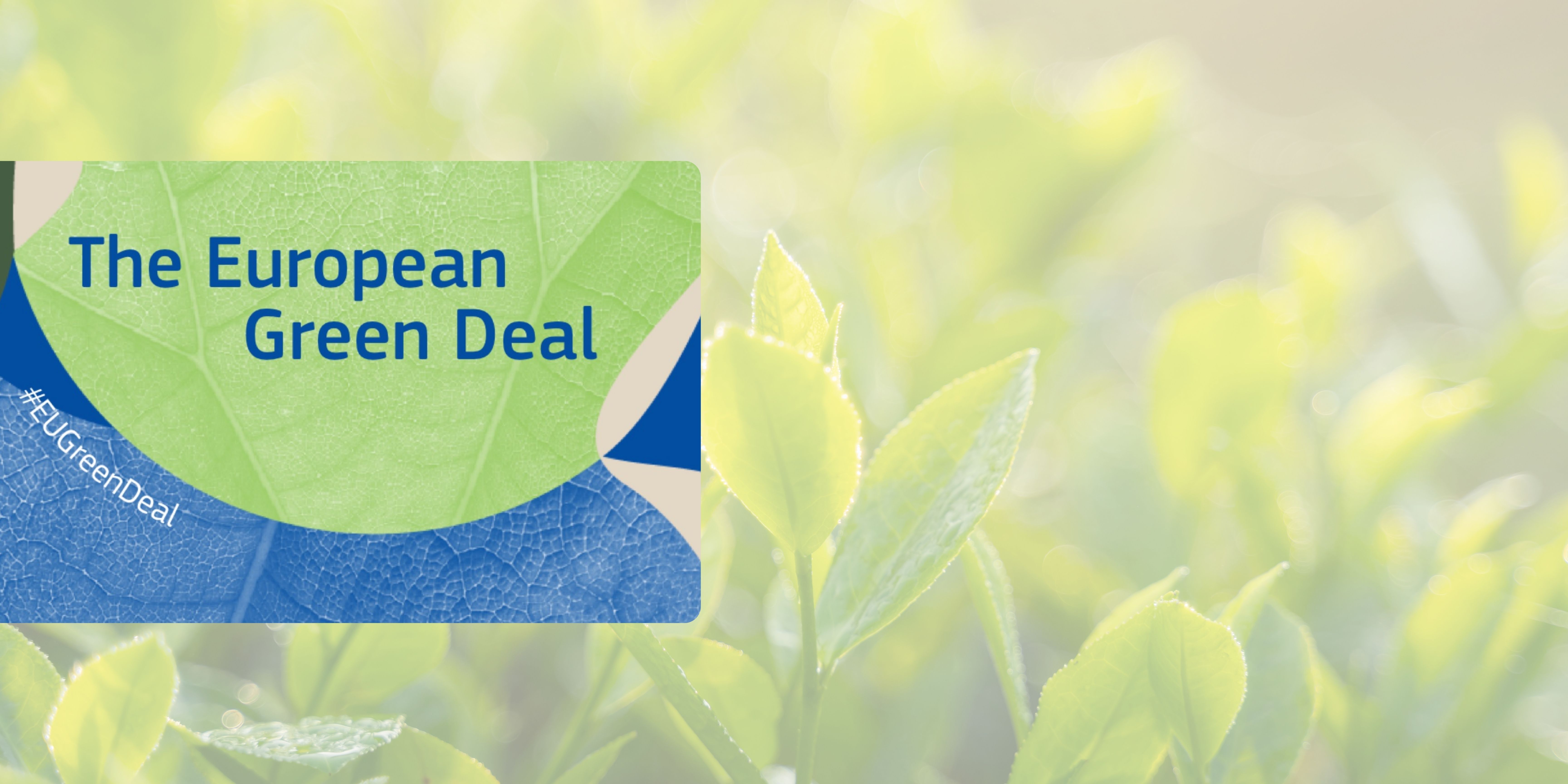 Debatt om fremtiden til Green Deal før EU-valget