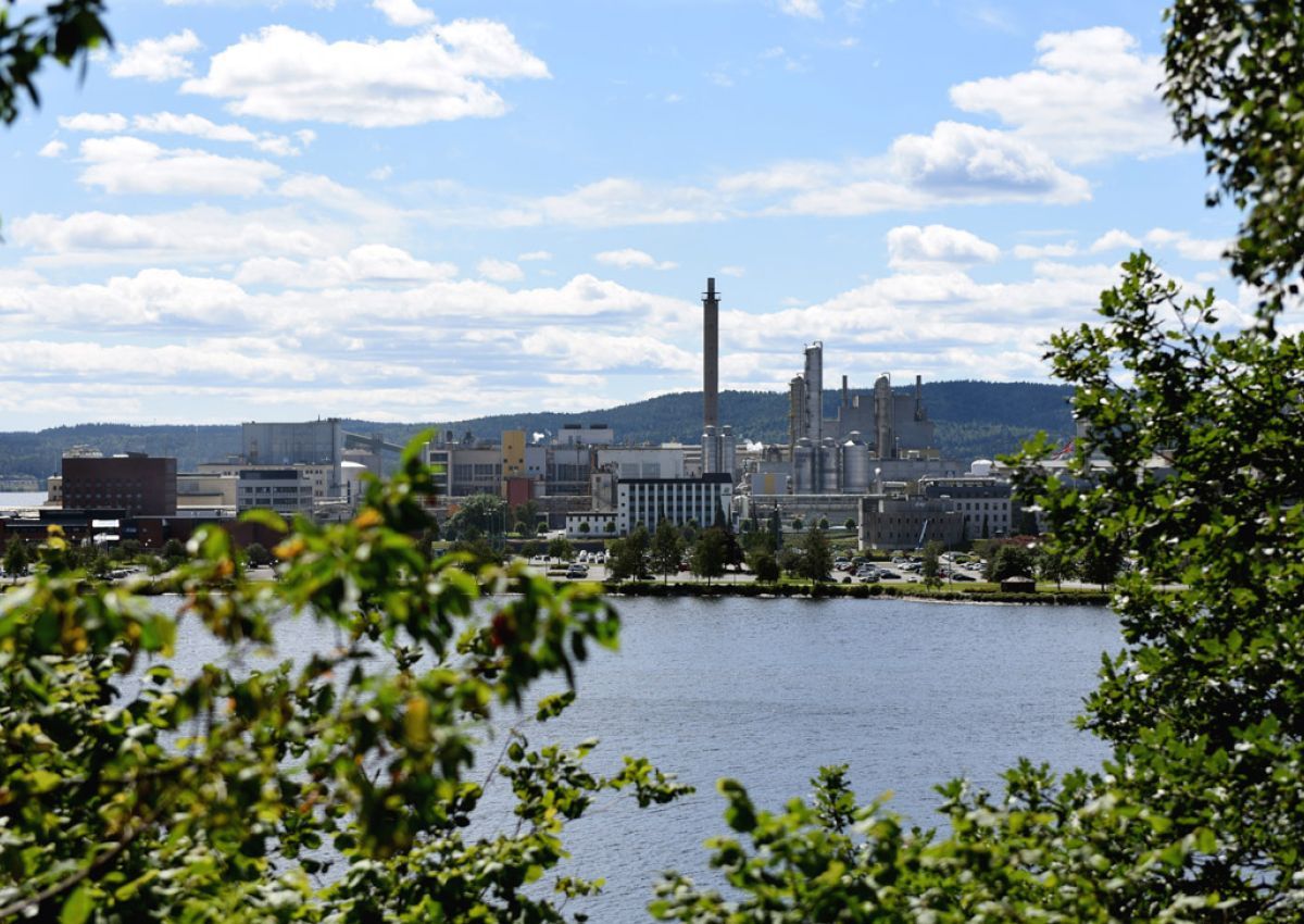 Foto Herøya industripark med fjord og trær i forgrunnen