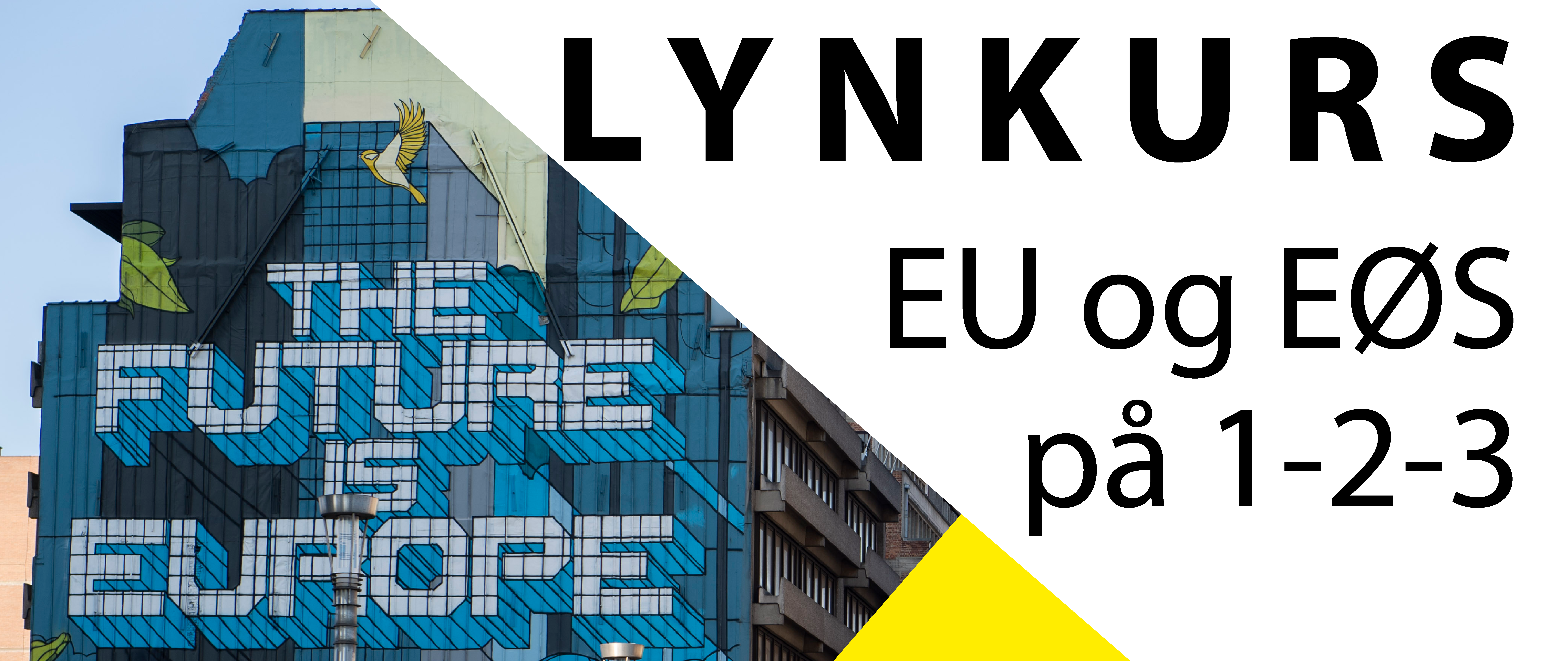 Meld deg på Lynkurs: EU/EØS på 1-2-3