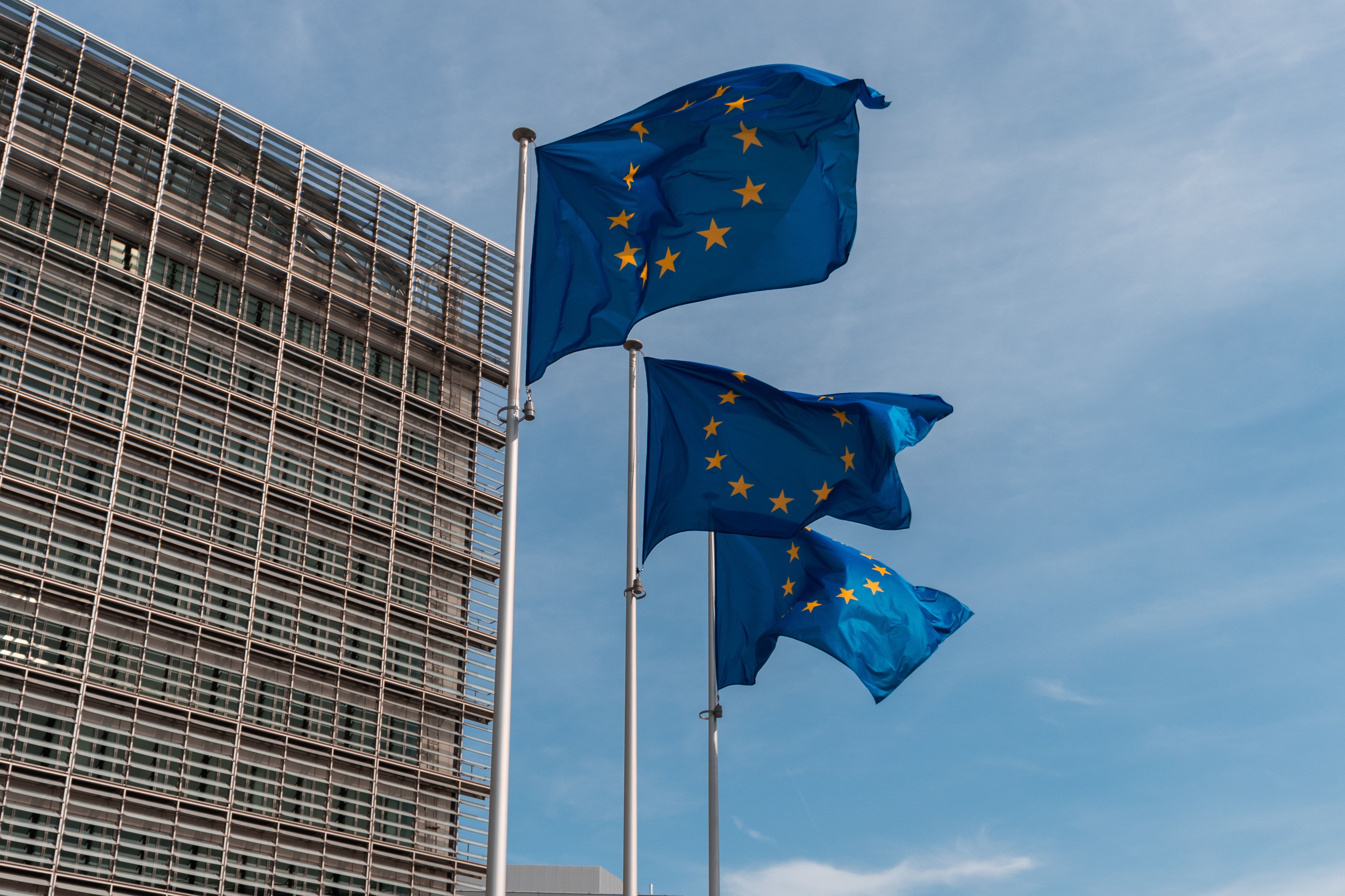 ER DU VÅR NYE EUROPARÅDGIVER?